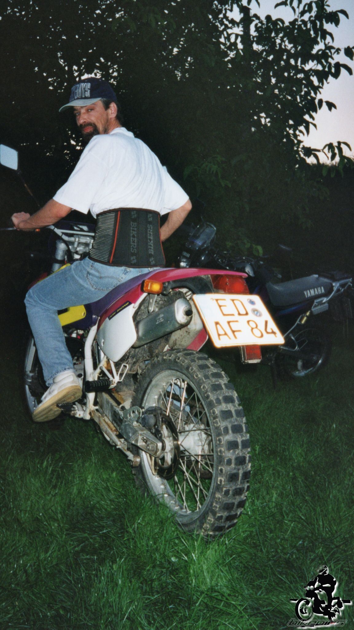 Photo 2528394