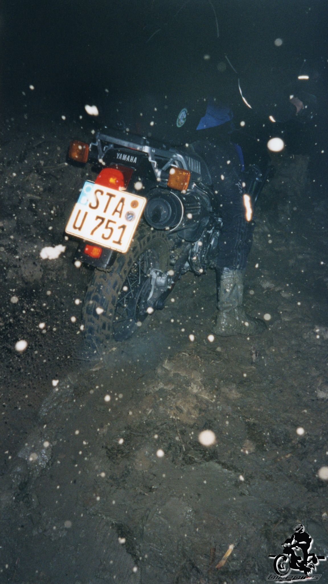 Photo 2528426