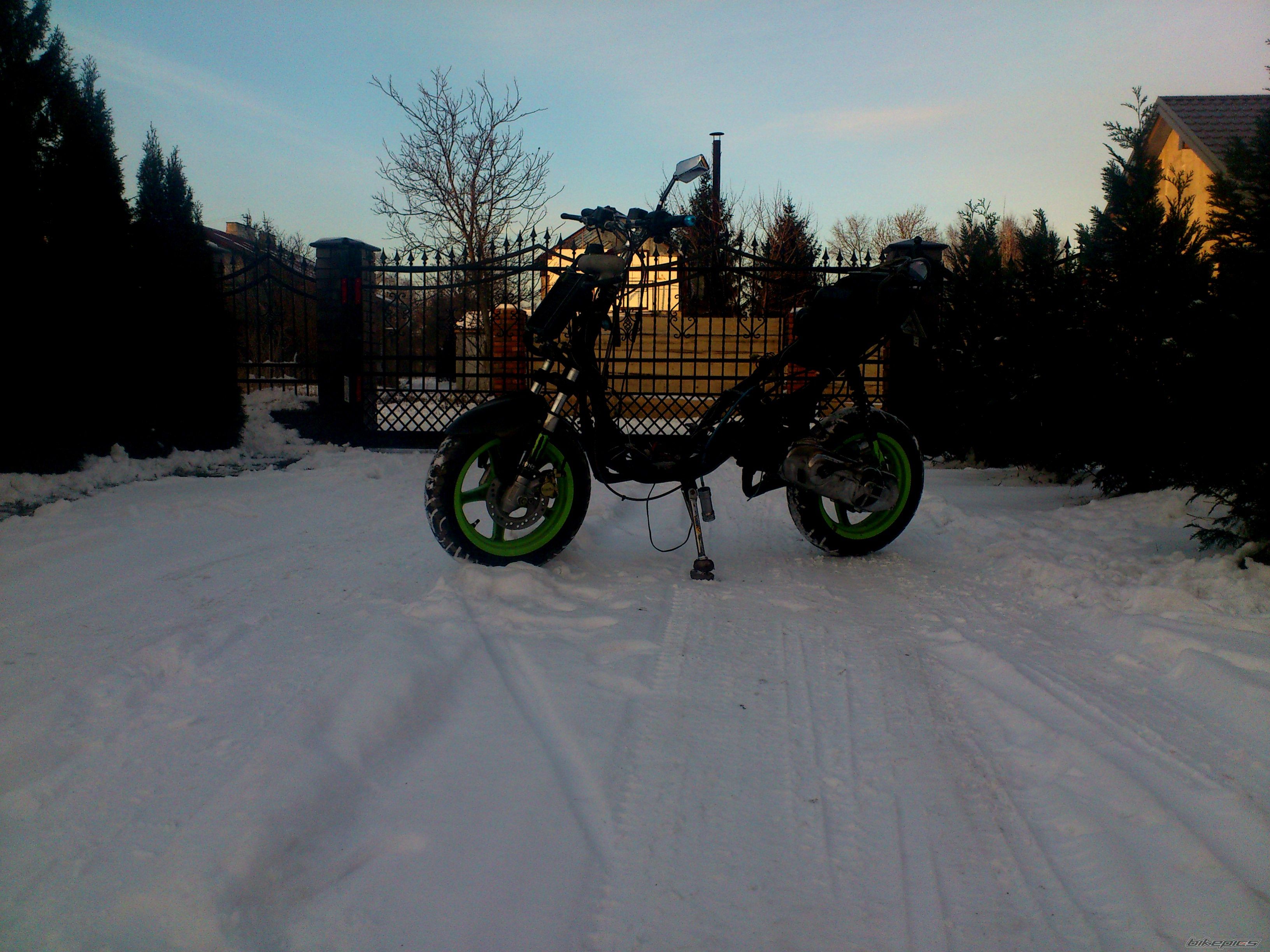 Photo 2528446