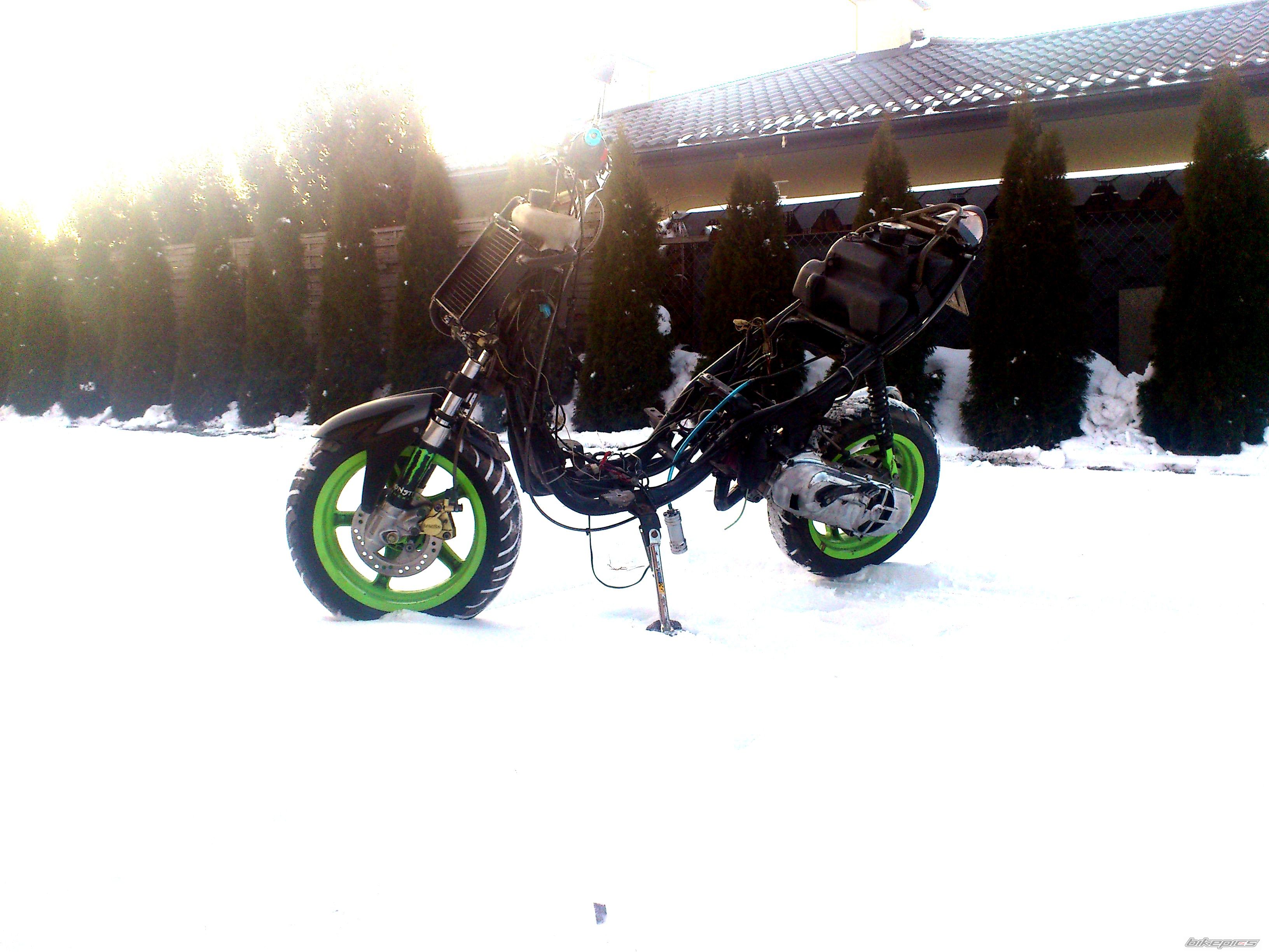 Photo 2528461