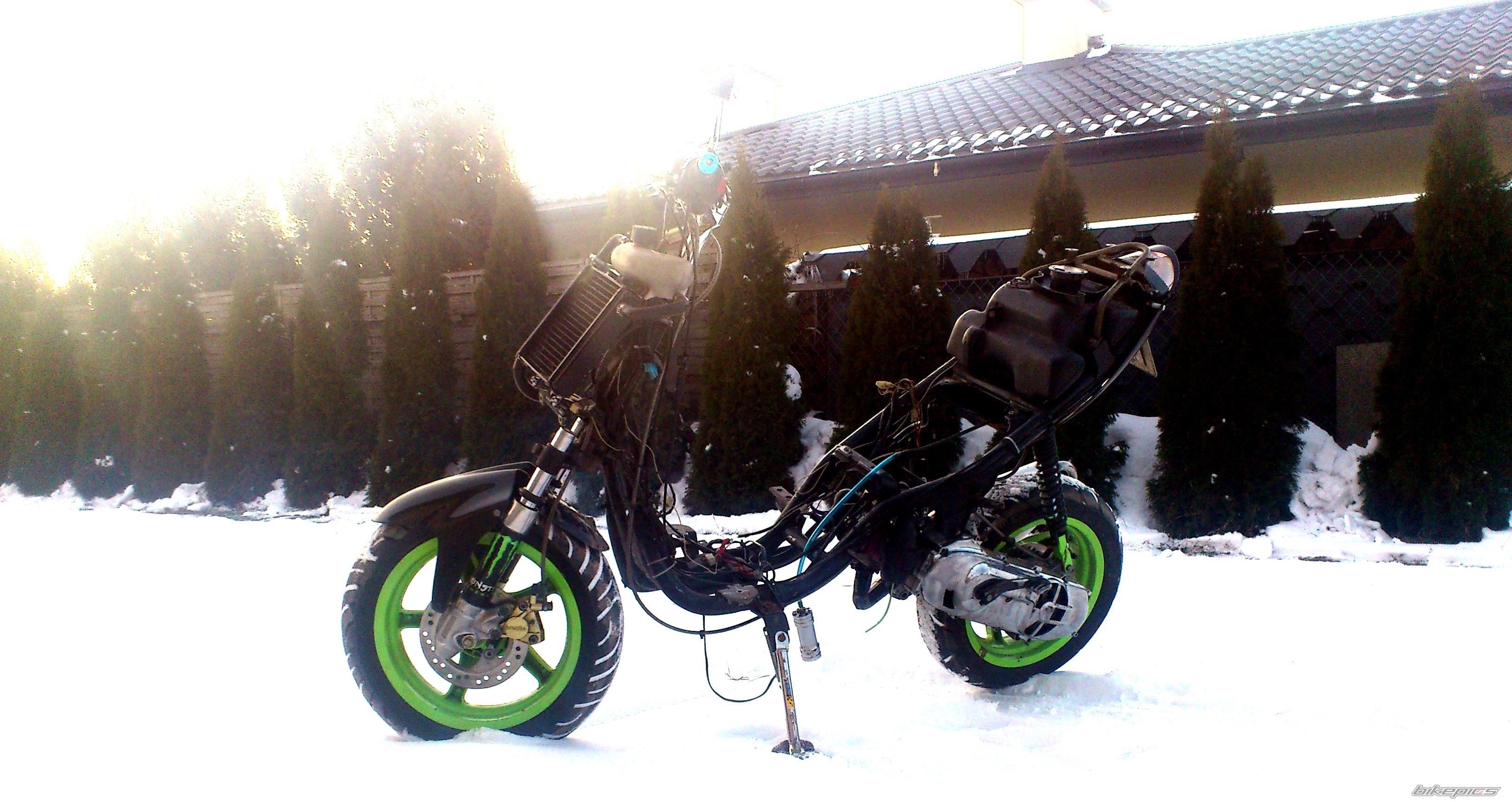 Photo 2528491