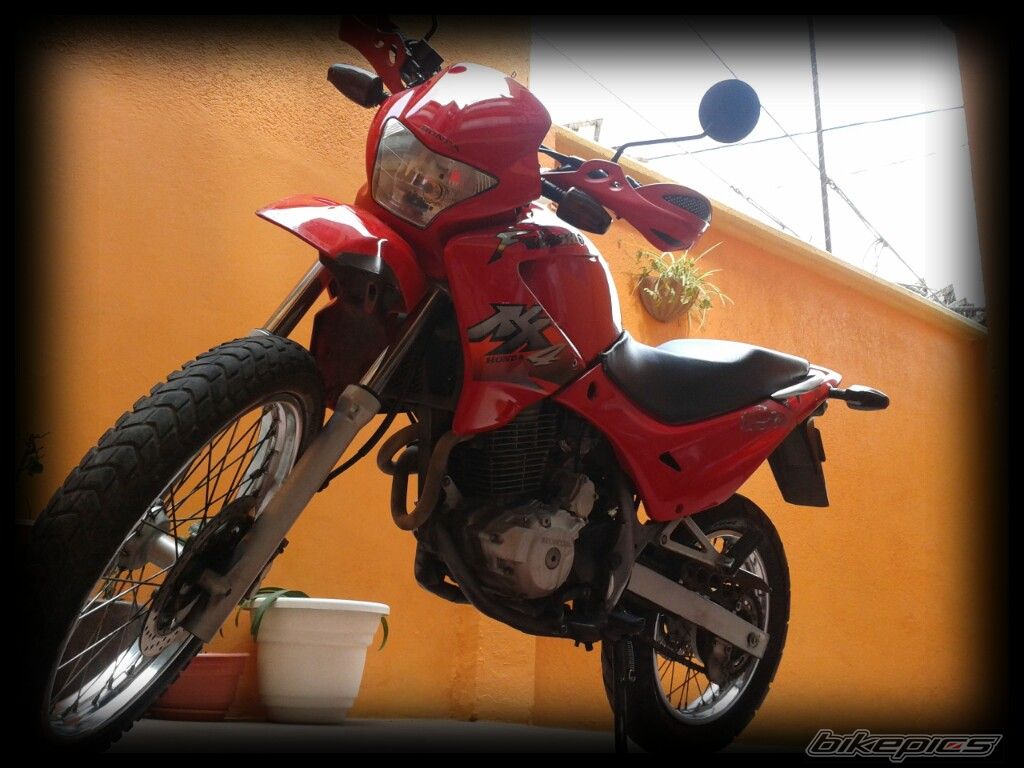 Photo 2528492