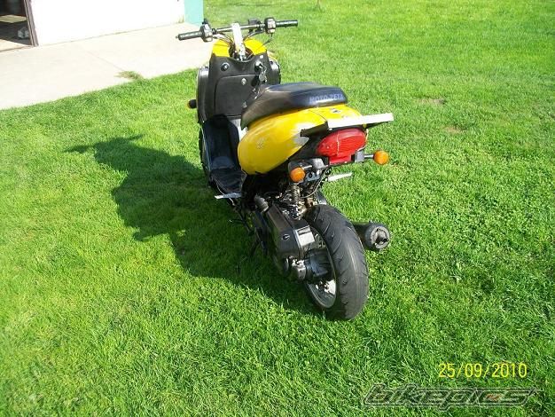 Photo 2528555