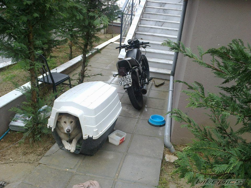 Photo 2528591