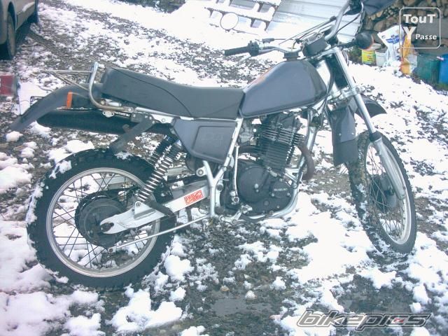Photo 2528643