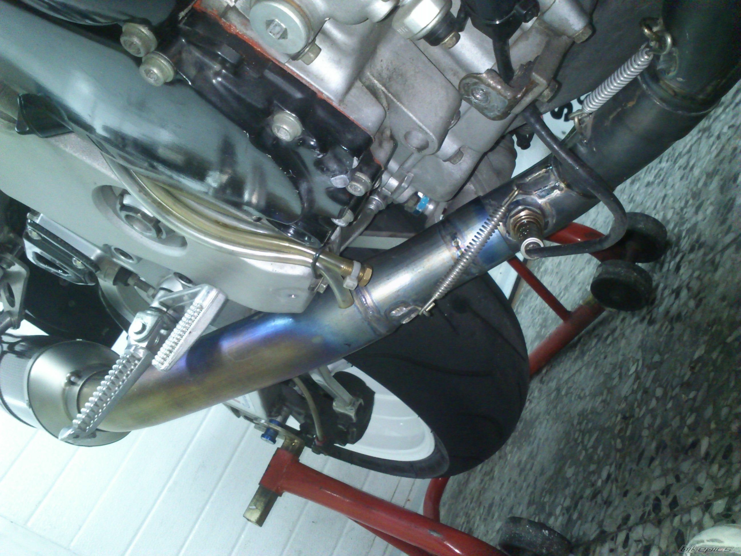 Photo 2528660