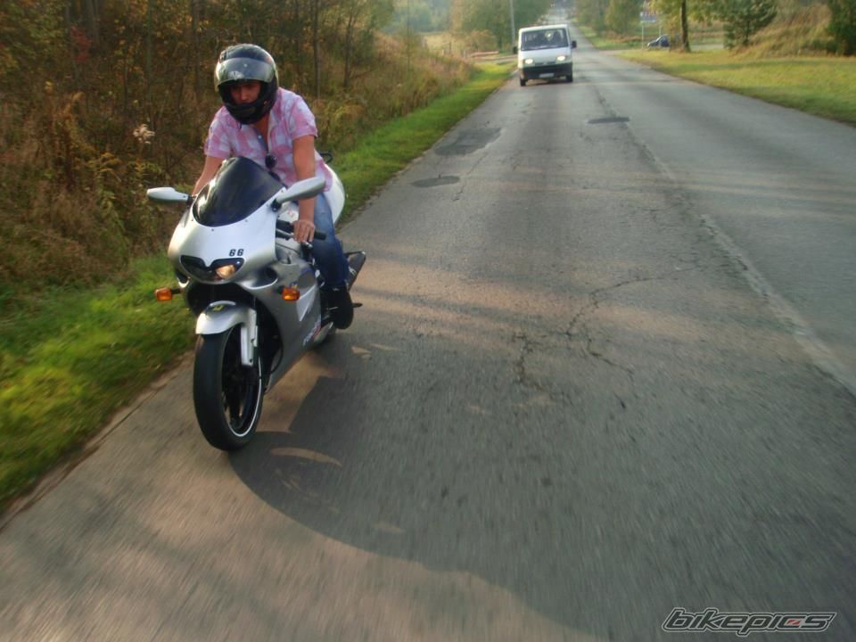 Photo 2528666