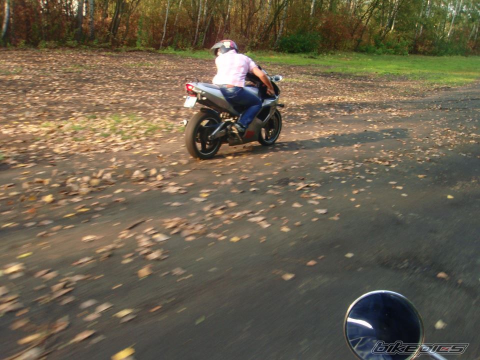Photo 2528667