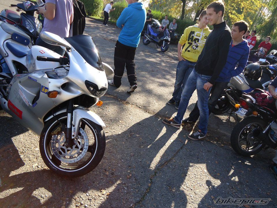 Photo 2528673