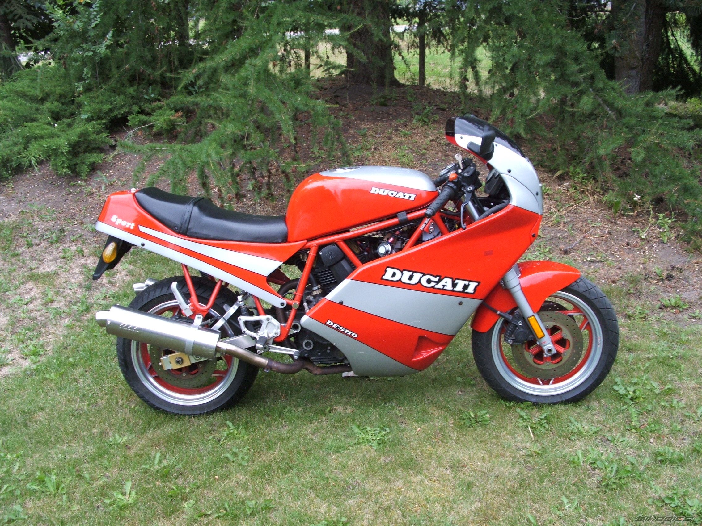 Photo 2528678