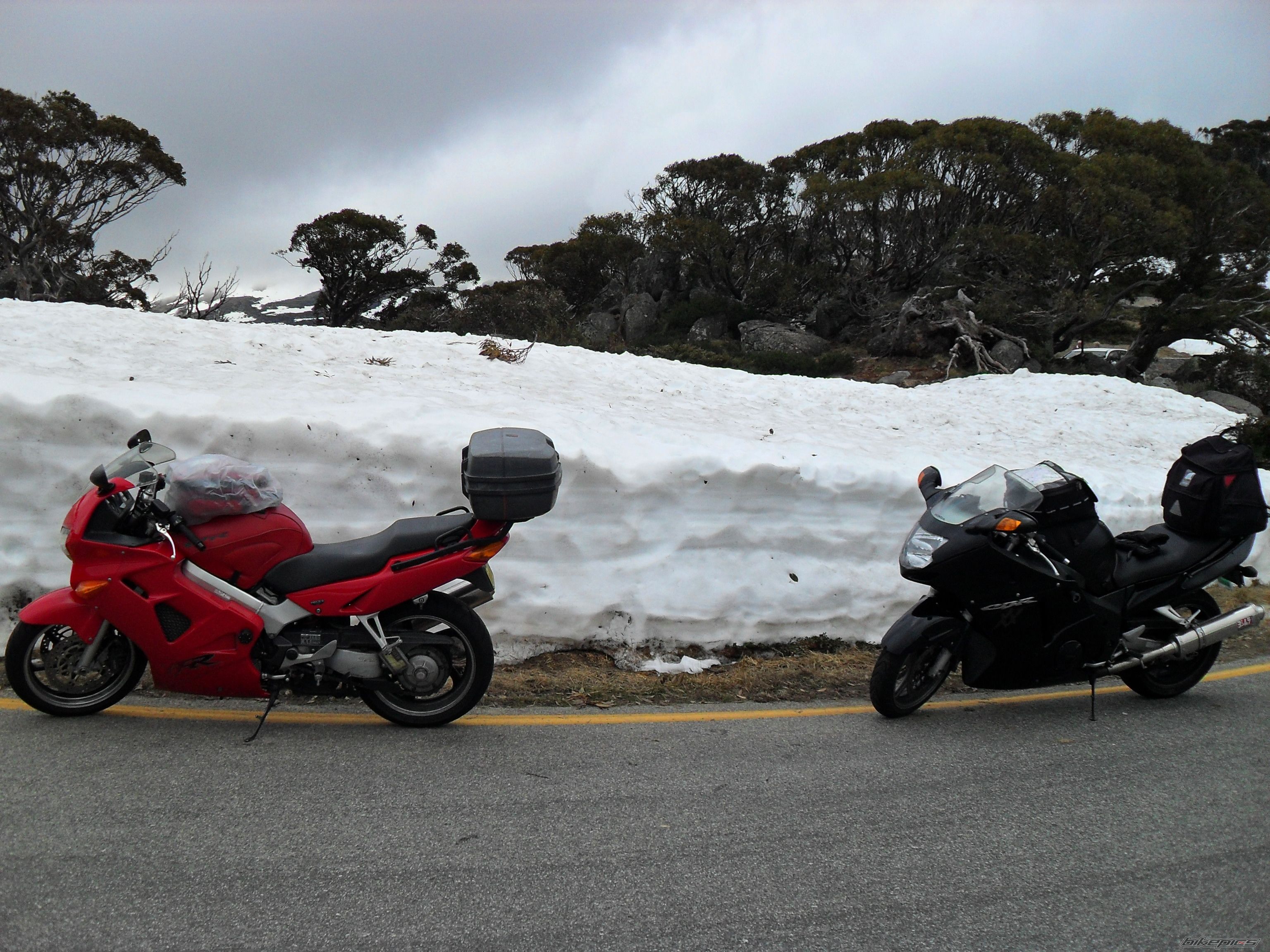 Photo 2528687