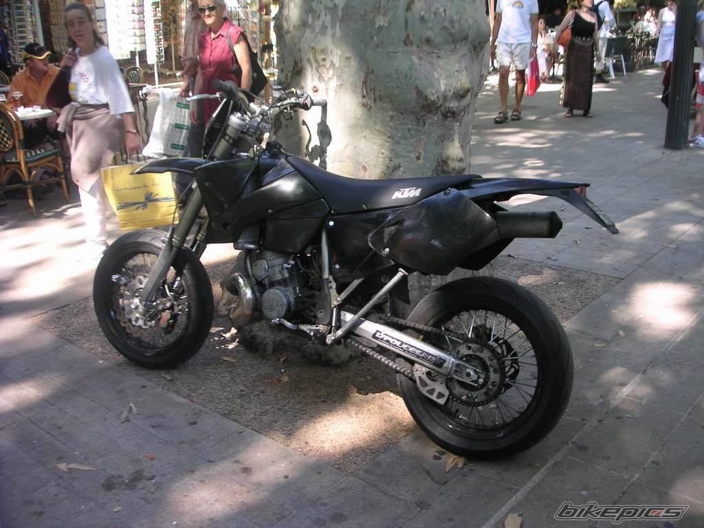 Photo 252869
