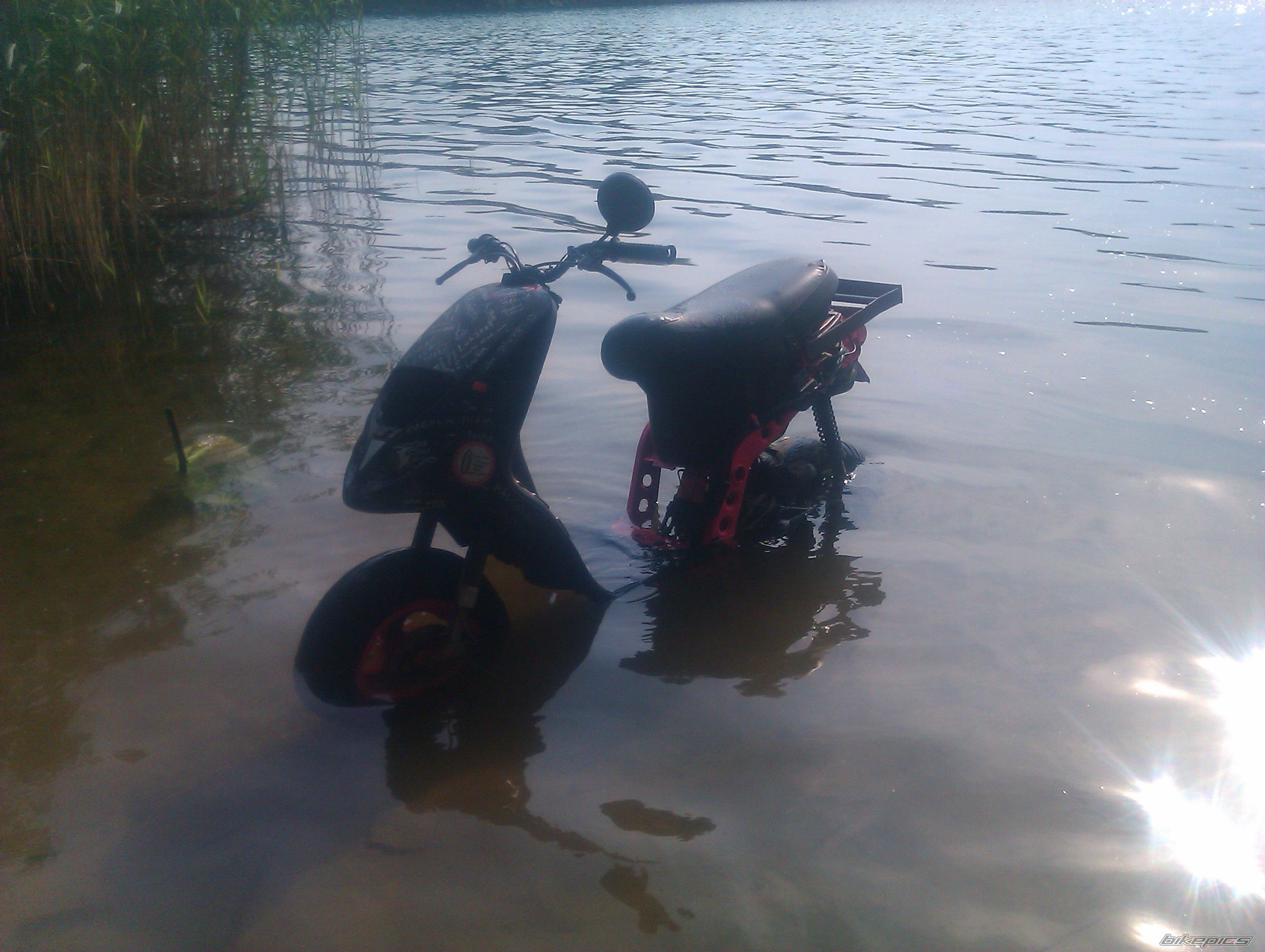 Photo 2528693