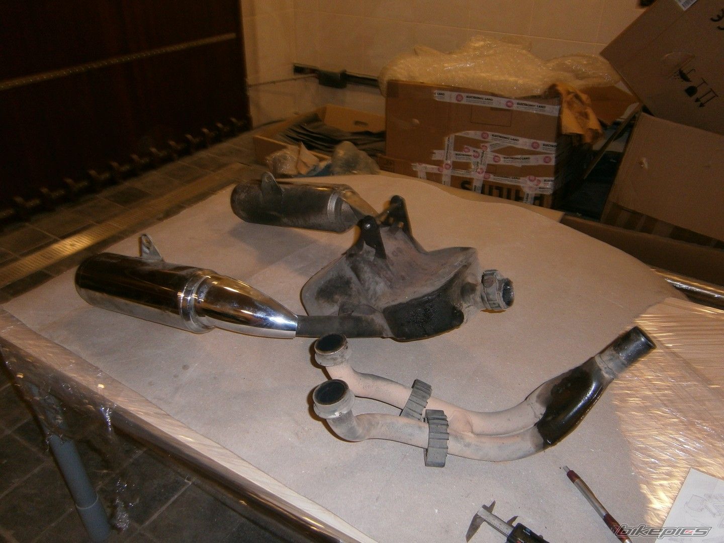 Photo 2528695