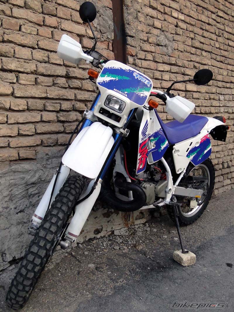 Photo 2528711
