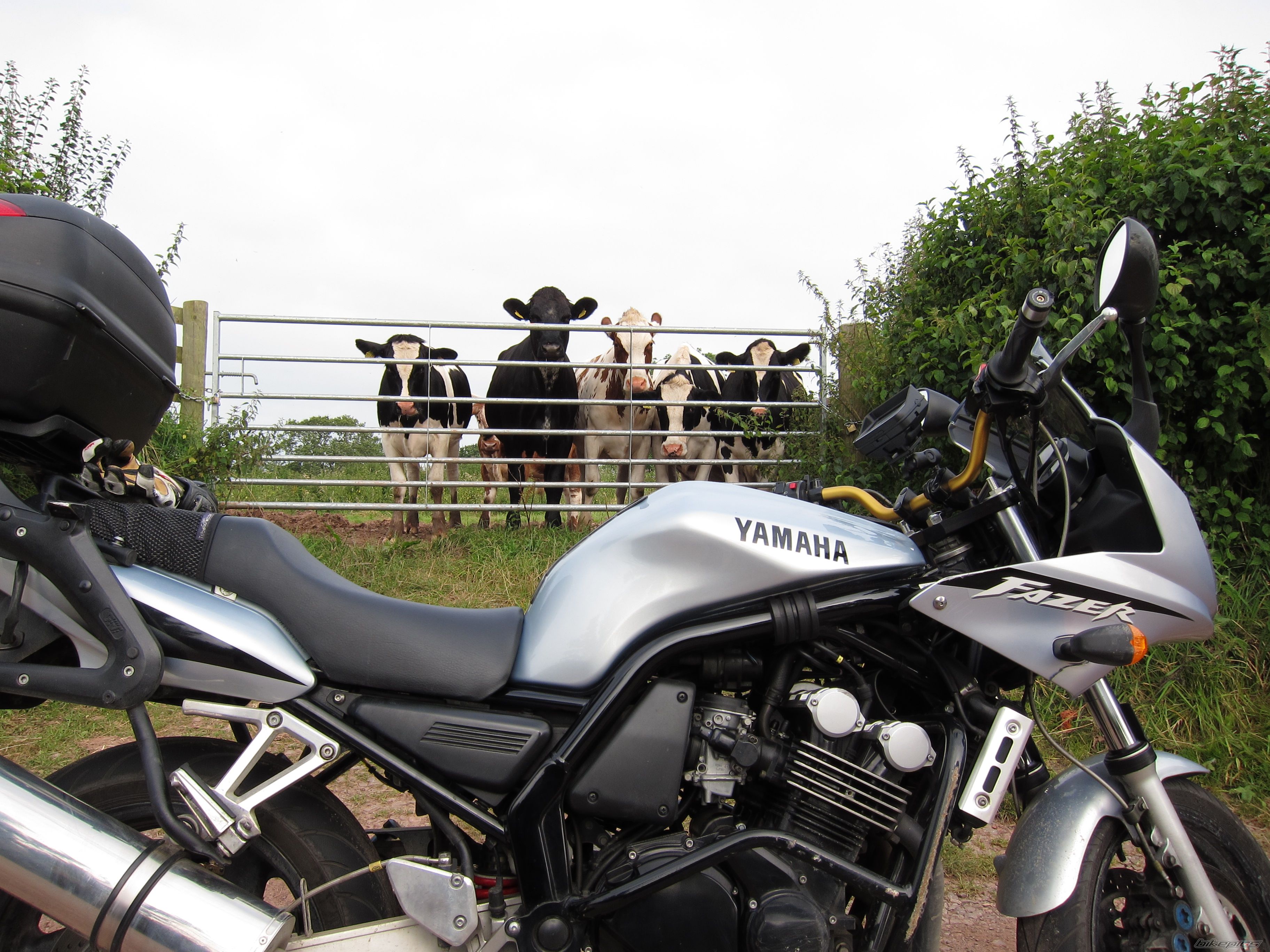 Photo 2528824