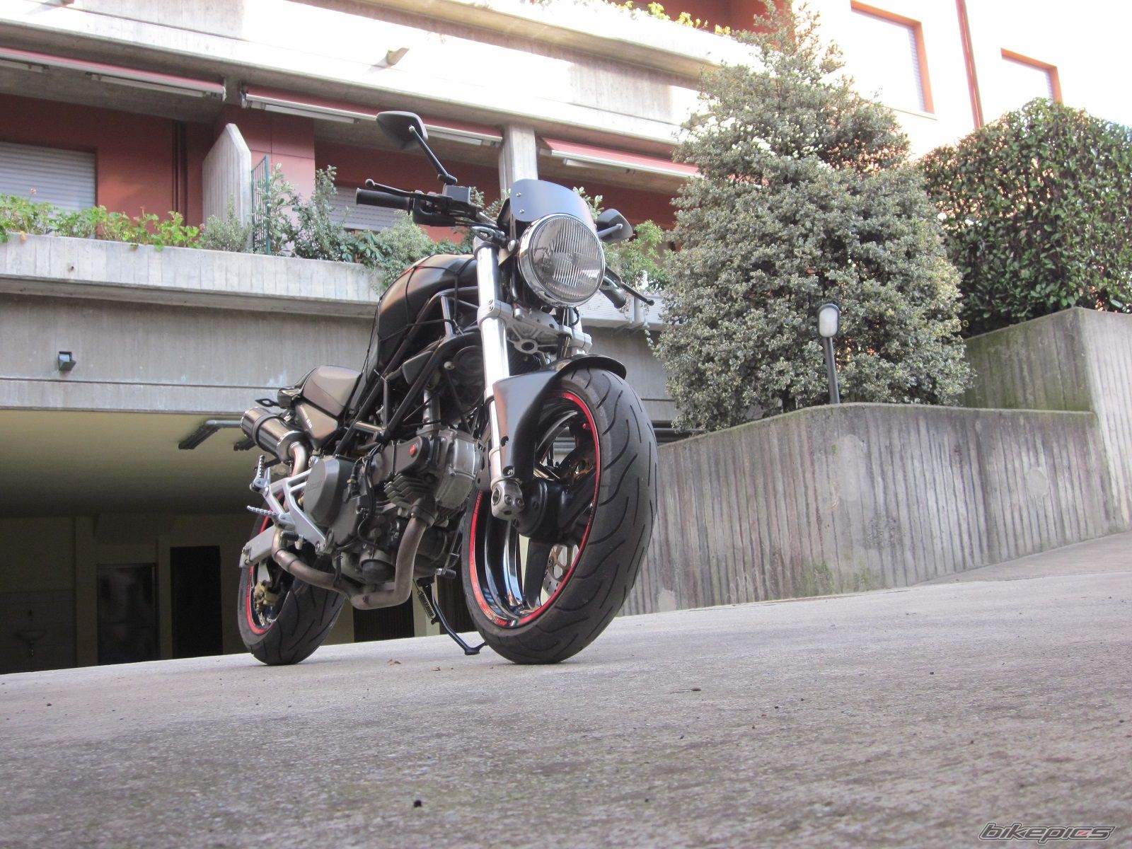 Photo 2528829