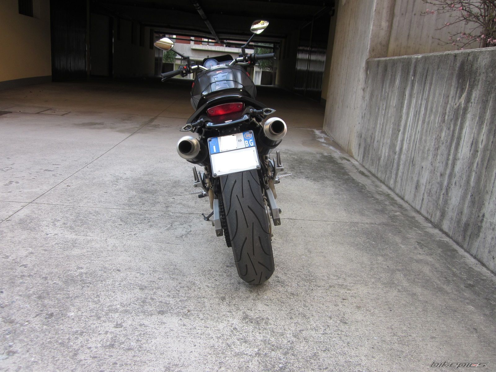 Photo 2528834