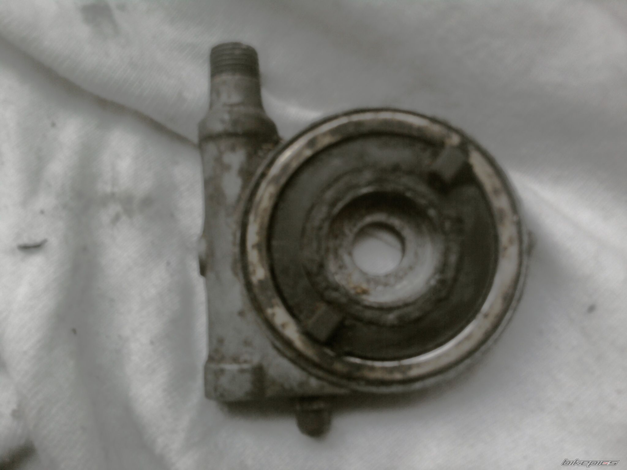 Photo 2528846
