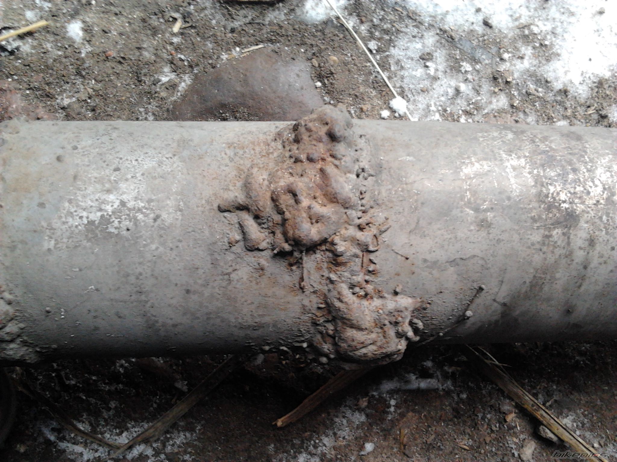 Photo 2528863
