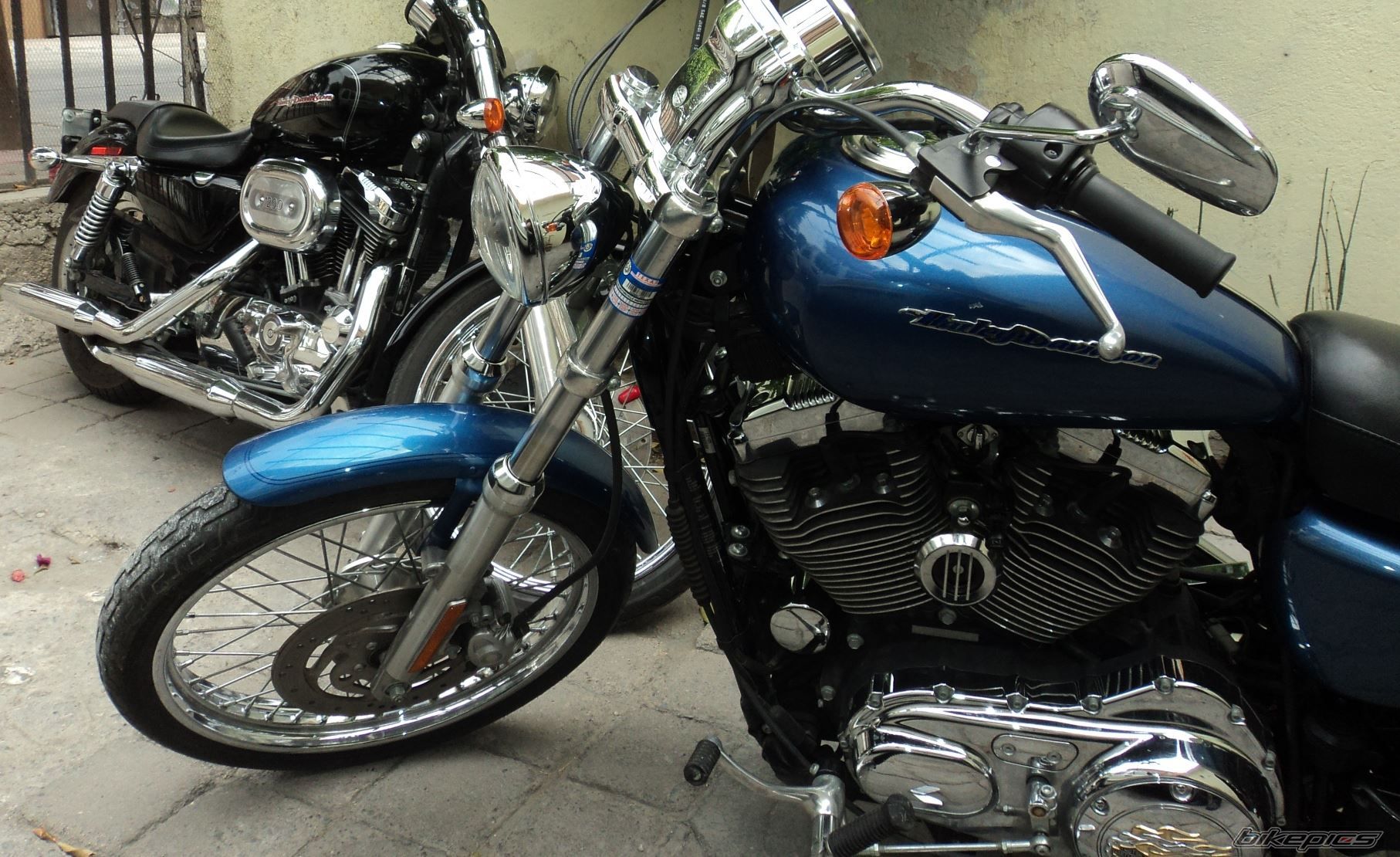 Photo 2528905