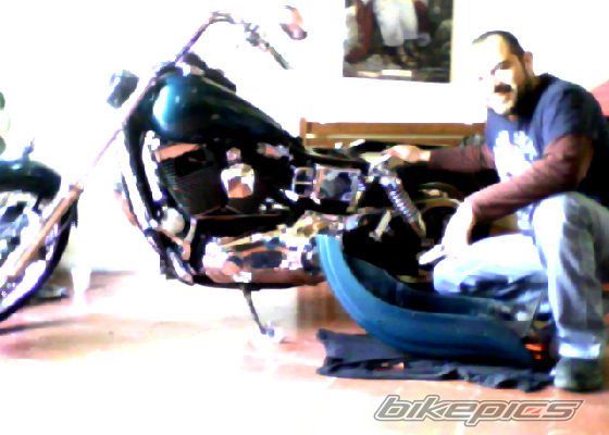 Photo 2528908