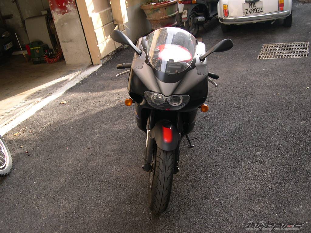 Photo 252897