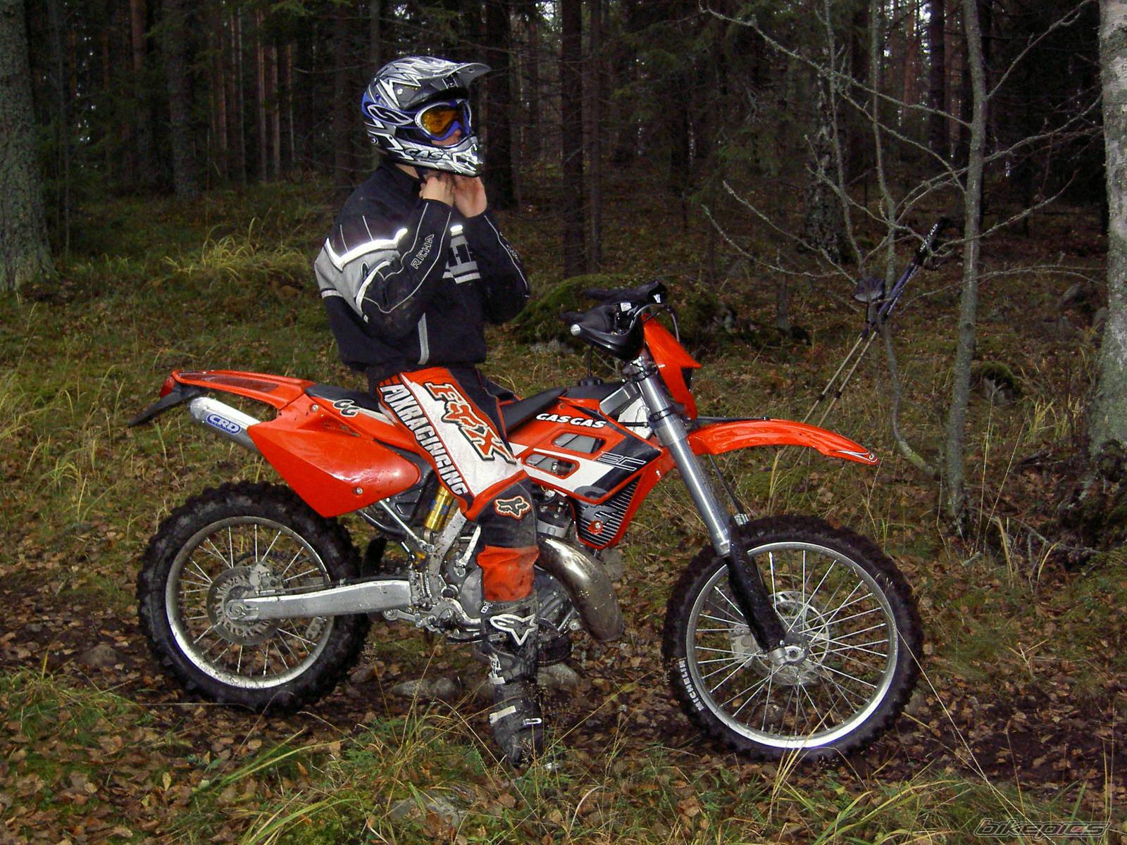 Photo 252902