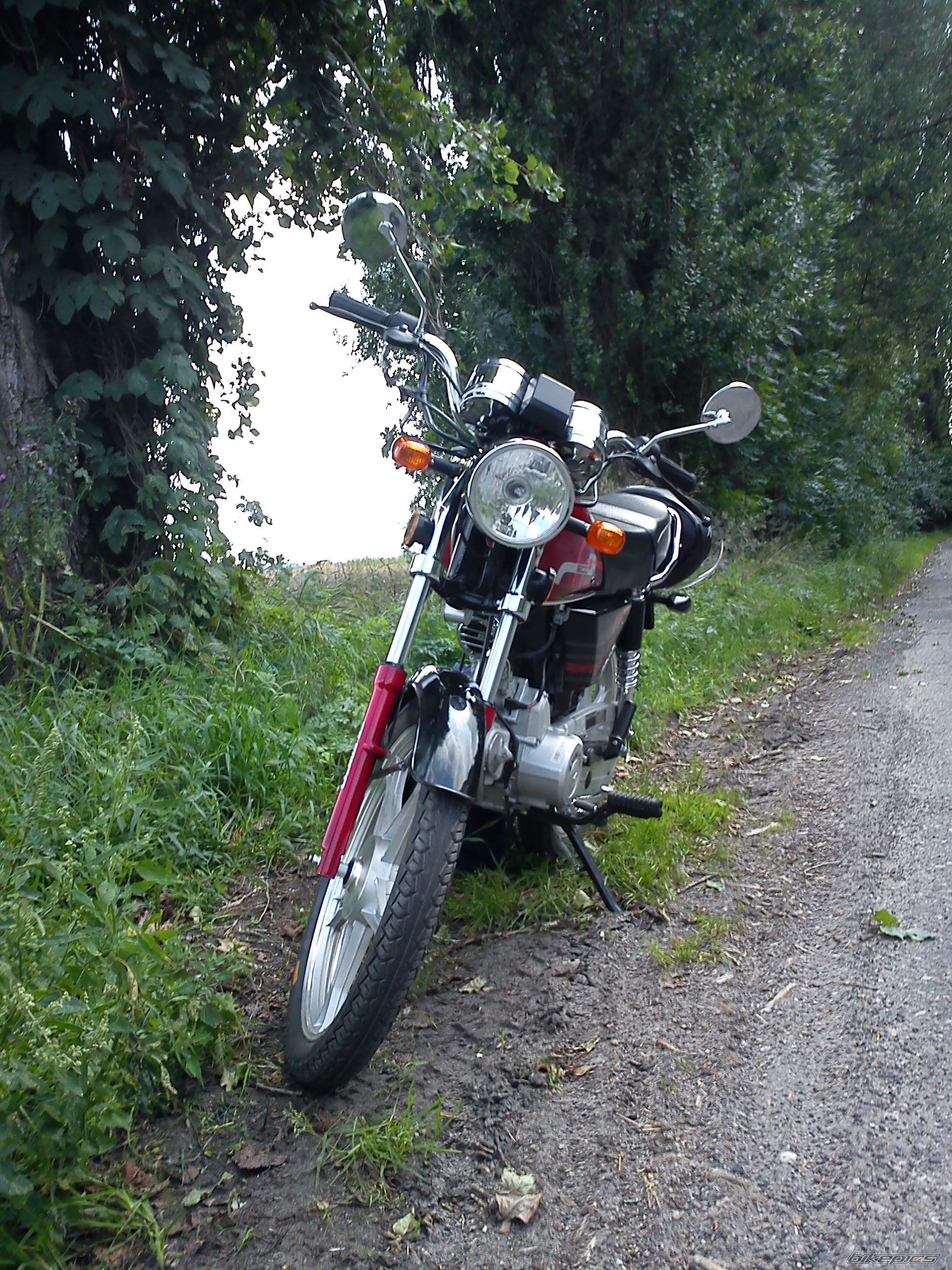 Photo 2529021