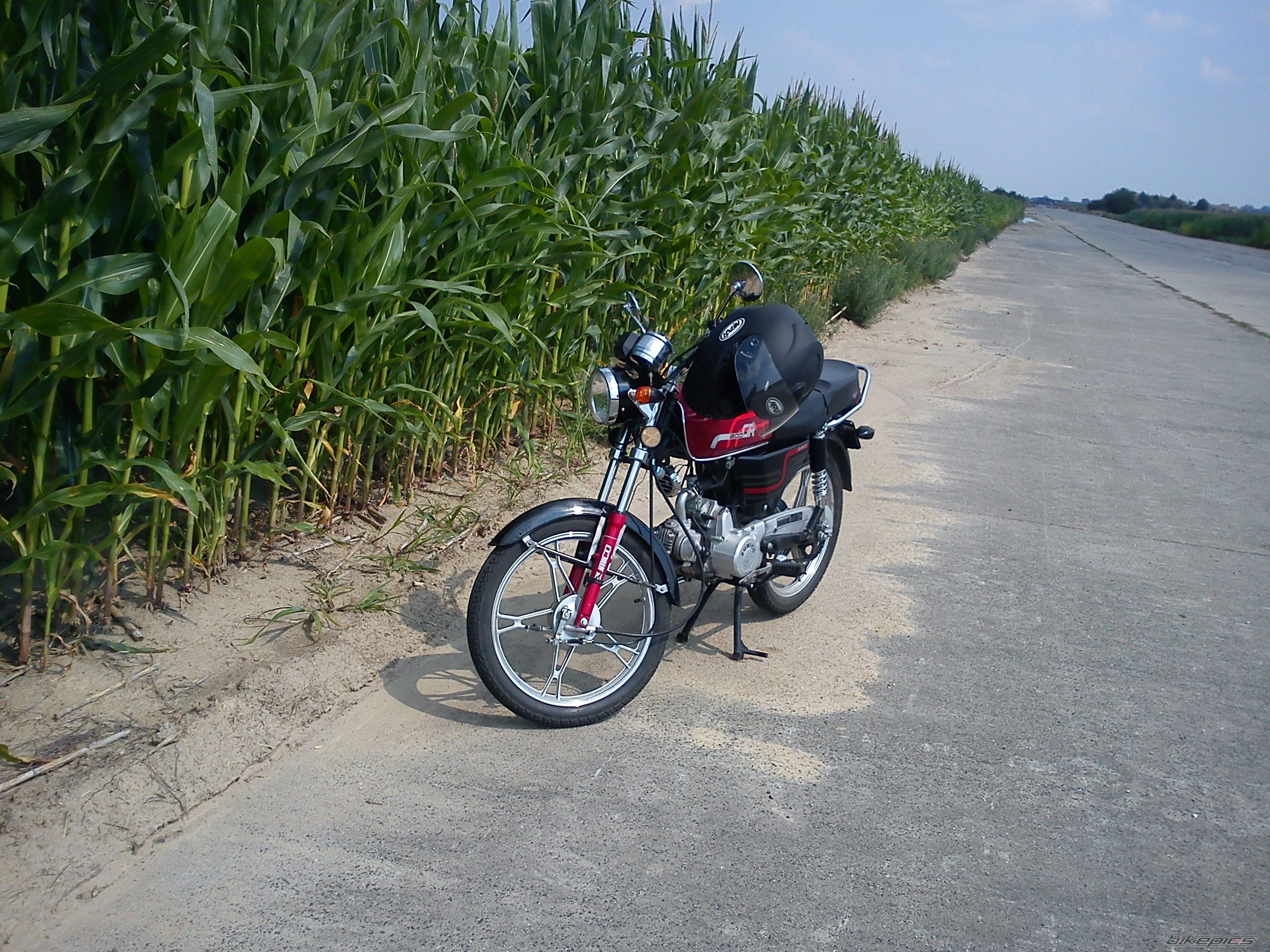 Photo 2529024