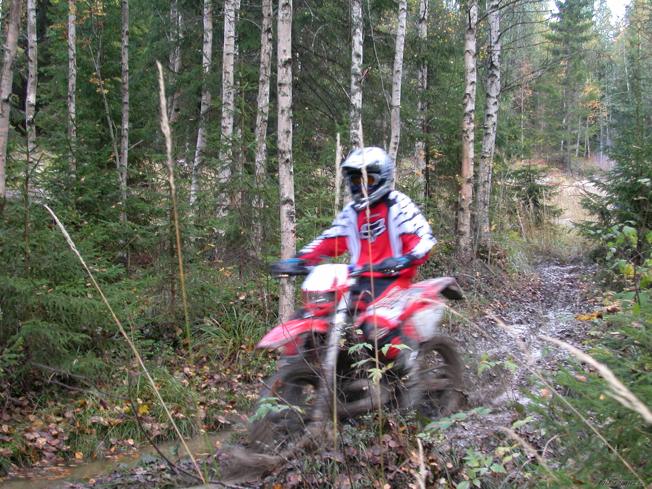 Photo 252905