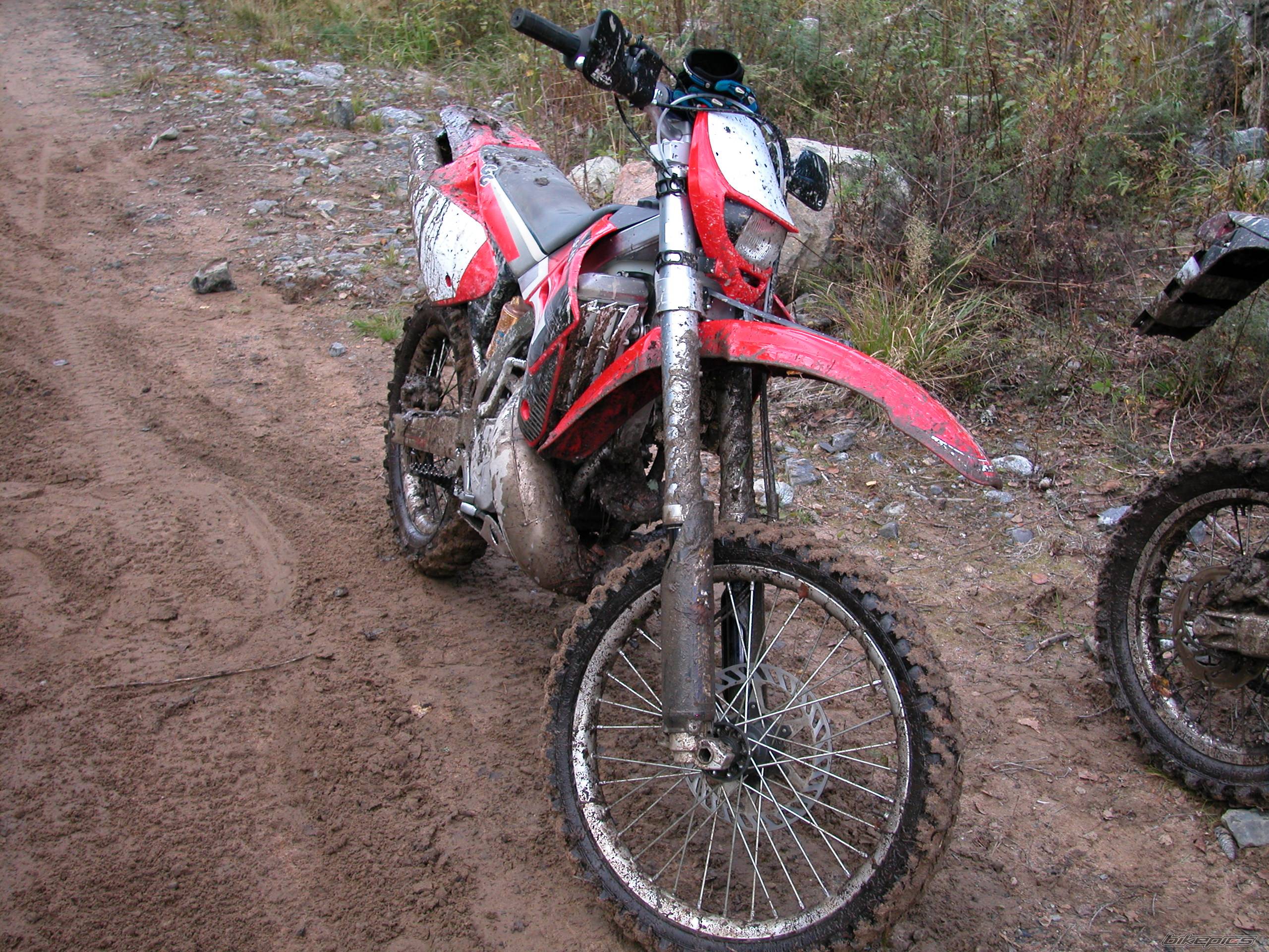 Photo 252906