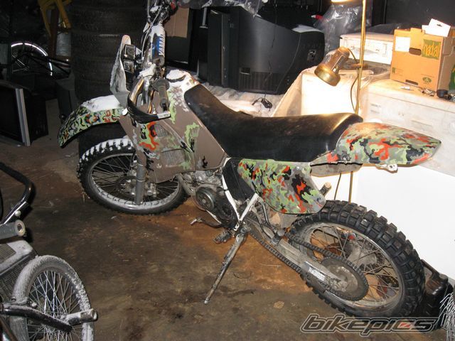 Photo 2529079
