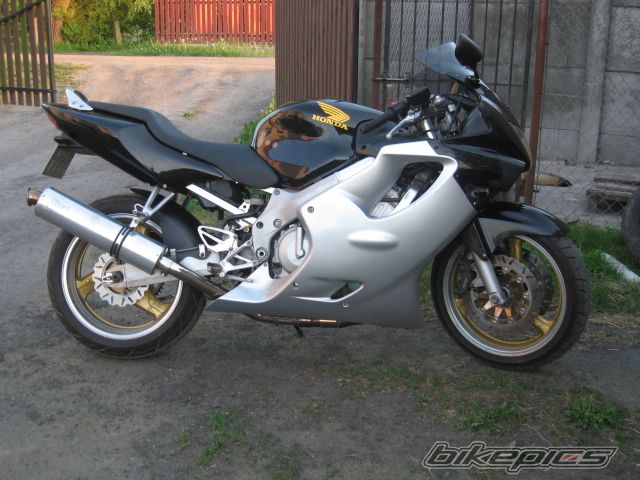 Photo 2529215