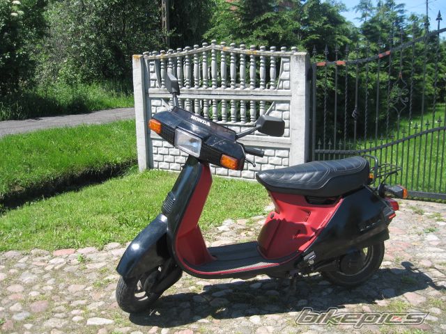 Photo 2529218