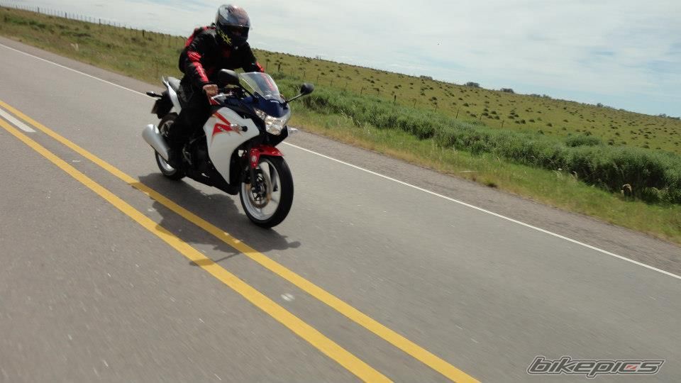 Photo 2529235