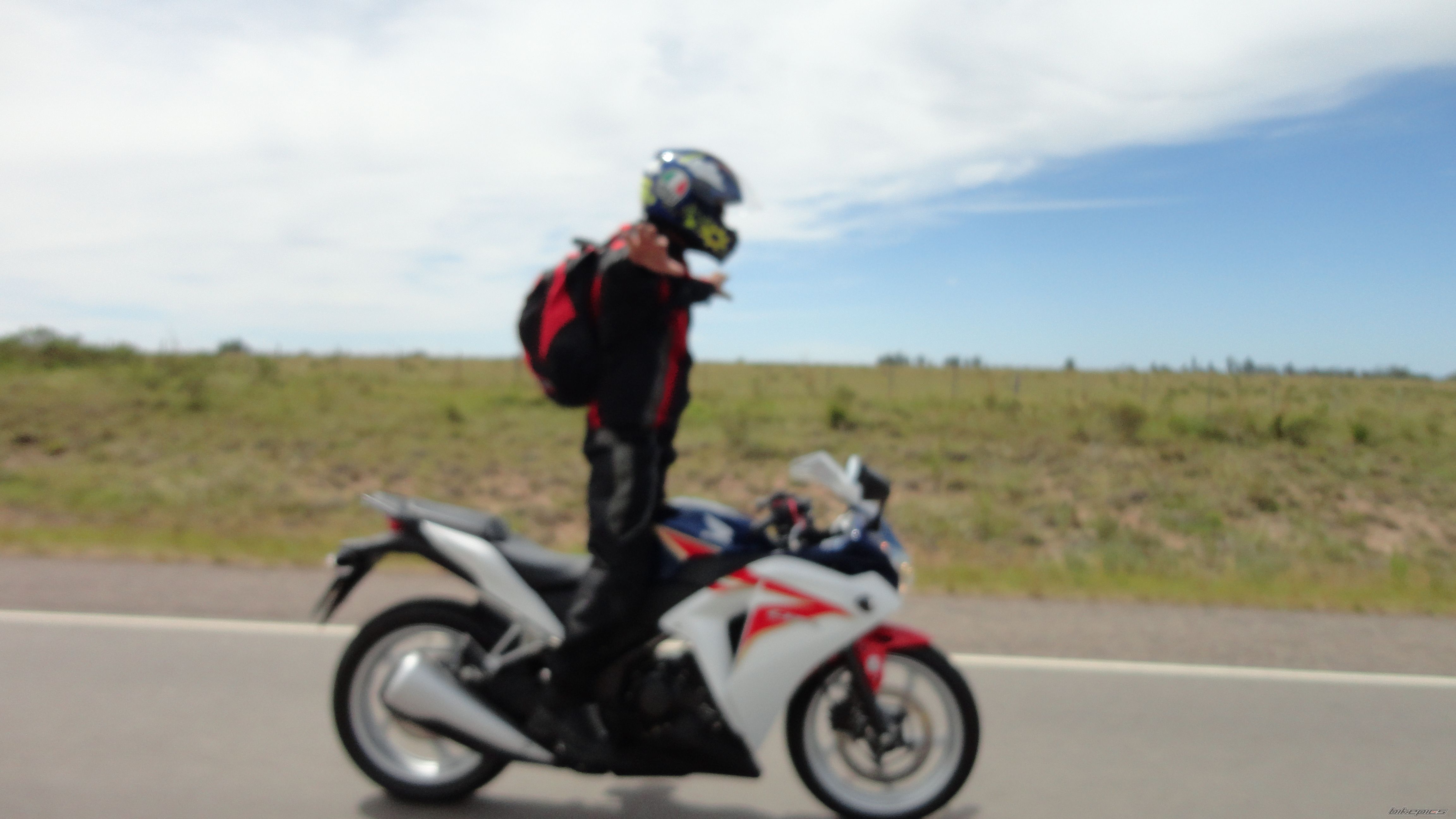 Photo 2529255