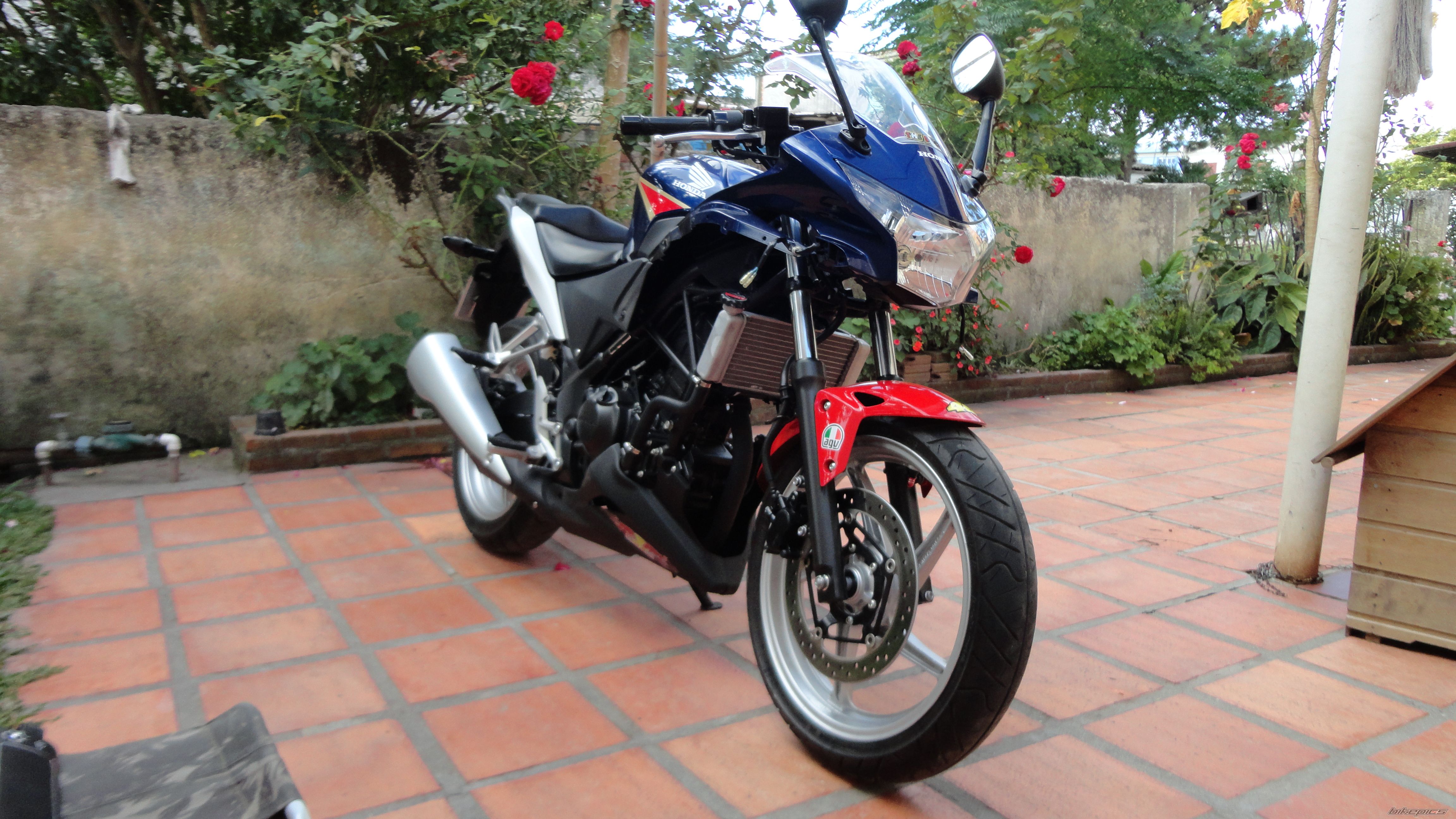 Photo 2529267