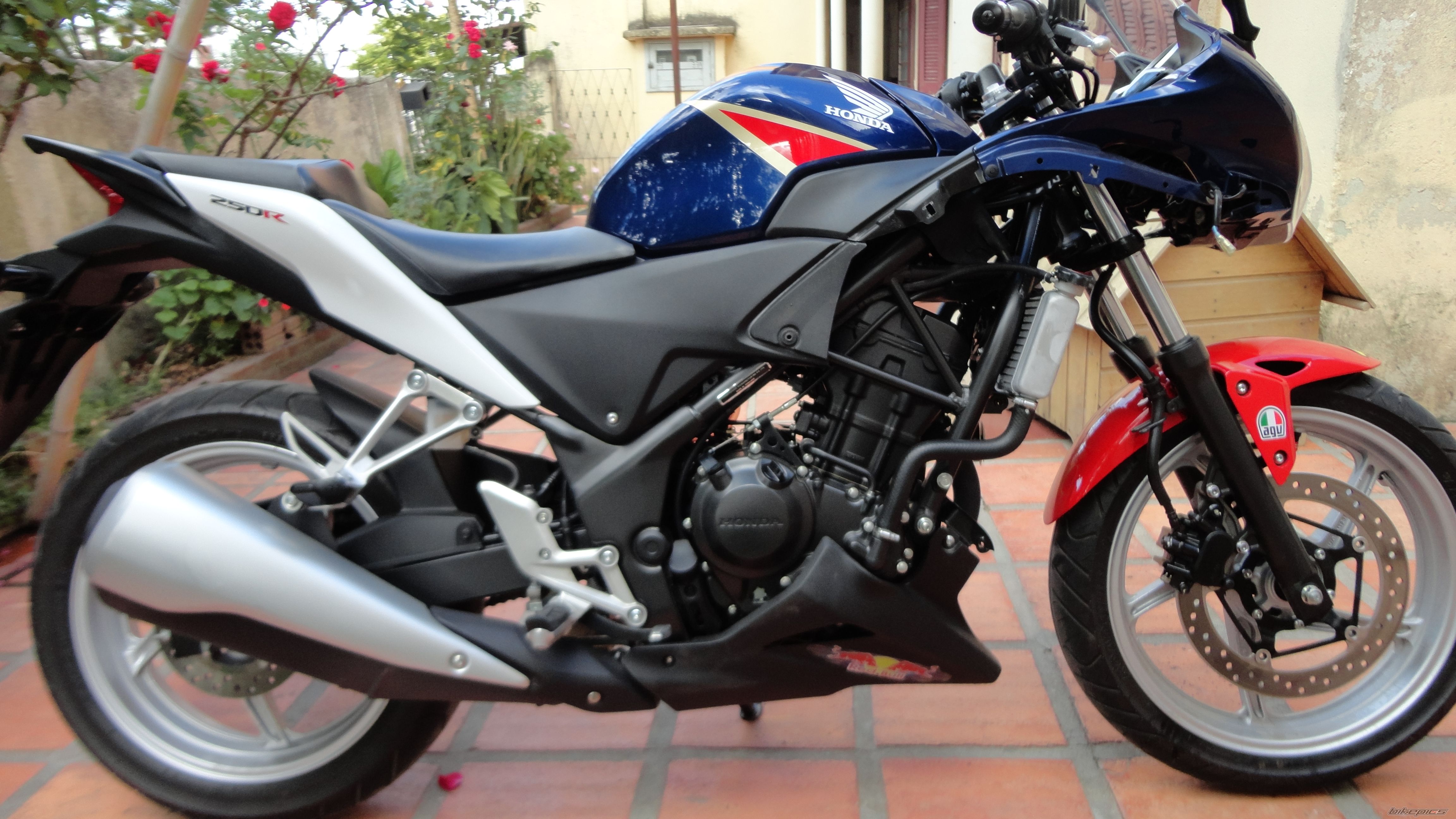Photo 2529268