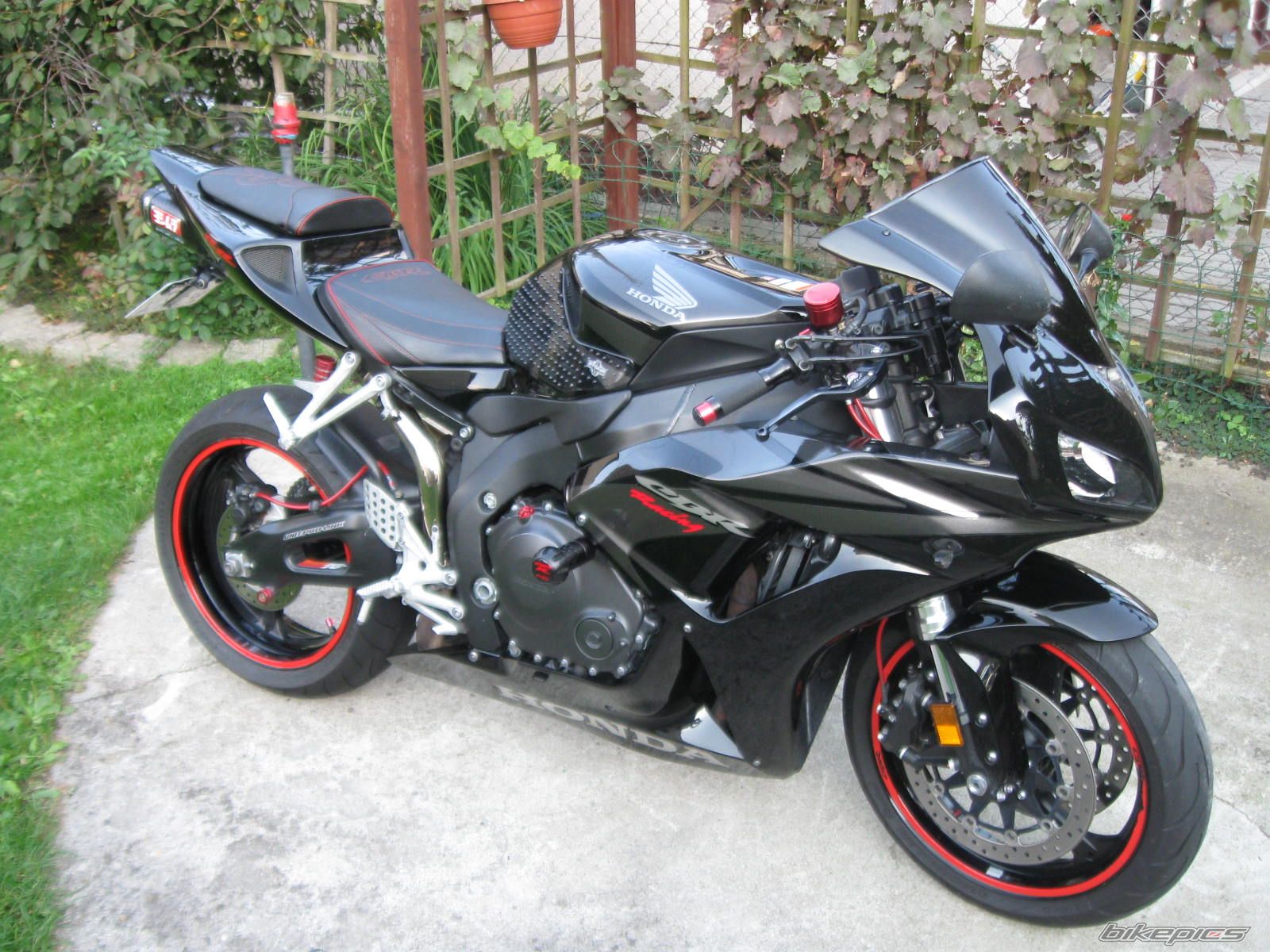 Photo 2529274