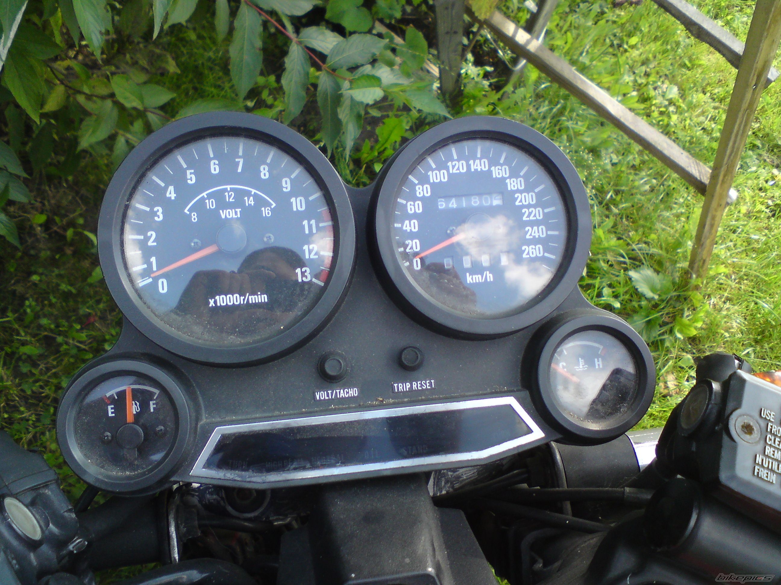 Photo 2529299