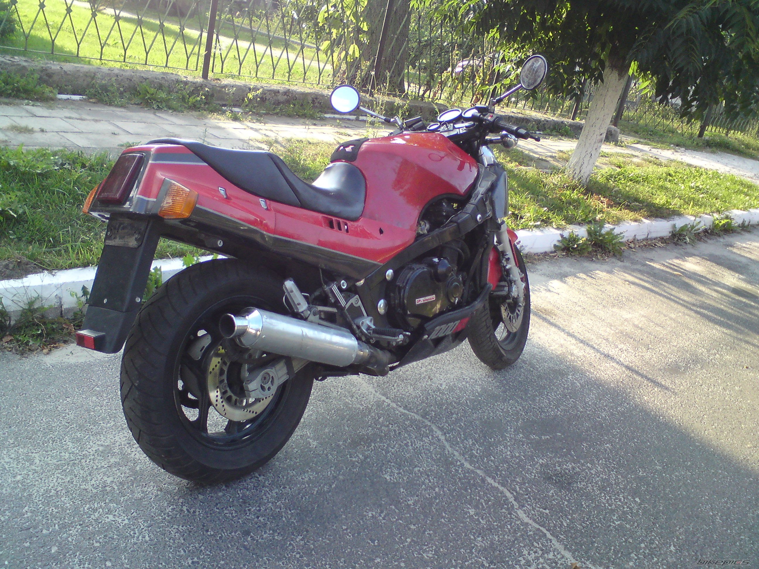Photo 2529301