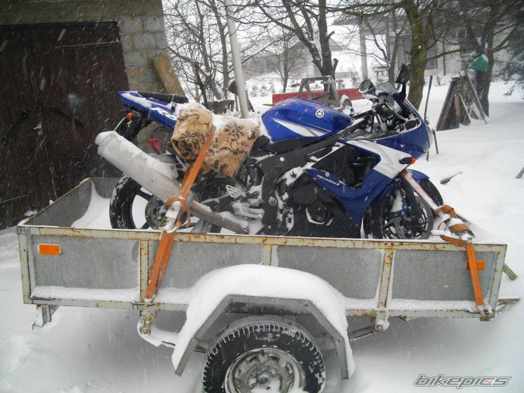Photo 2529340