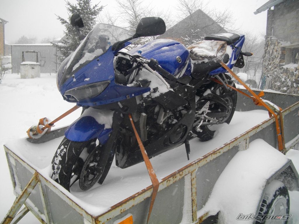Photo 2529341