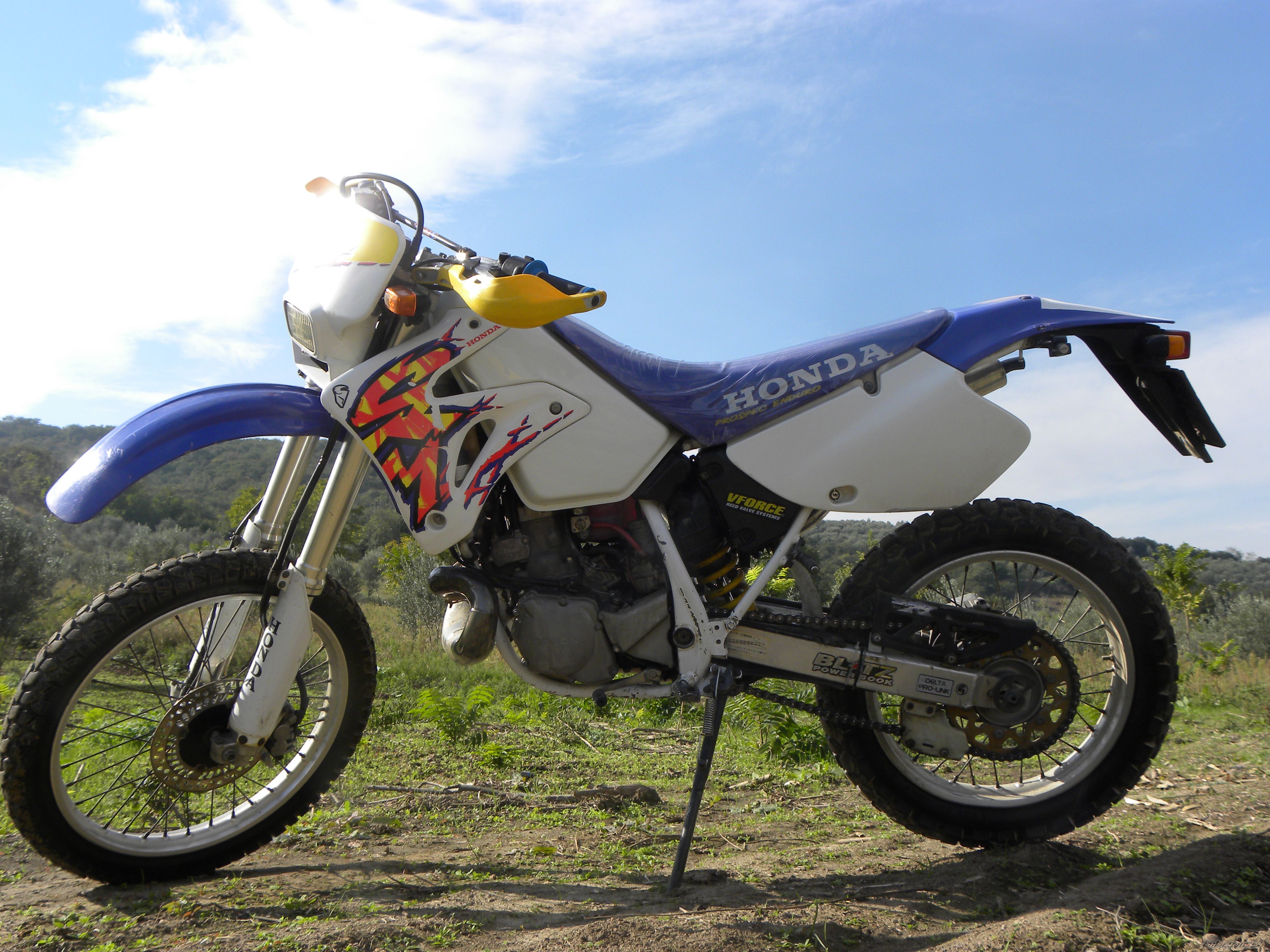 Photo 2529375