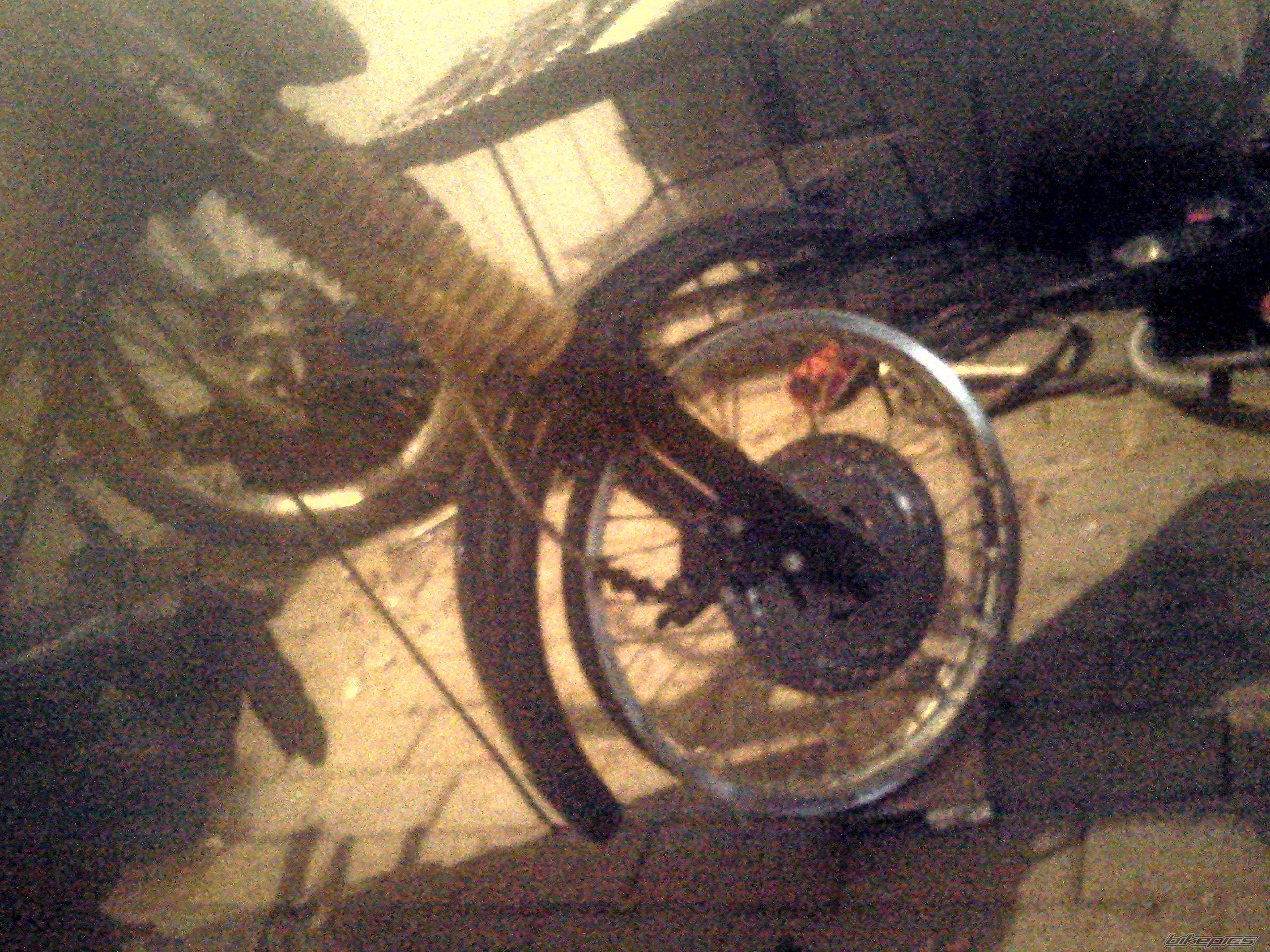 Photo 2529396