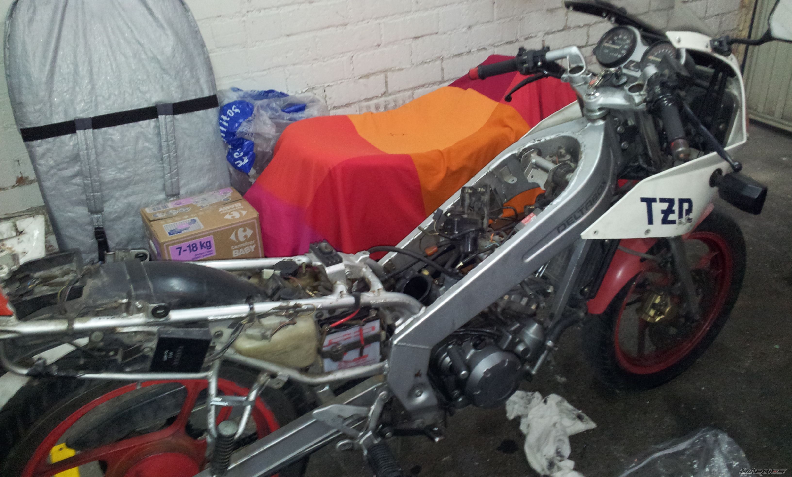 Photo 2529530