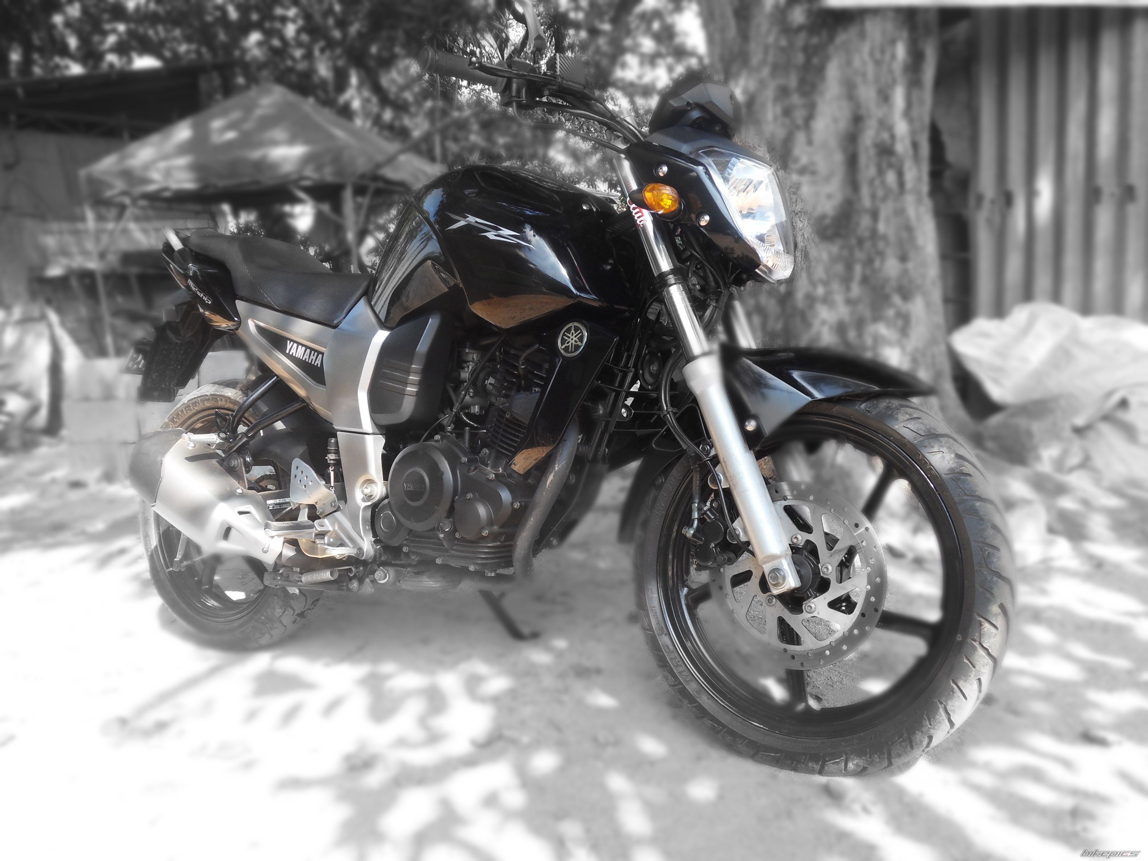 Photo 2529669