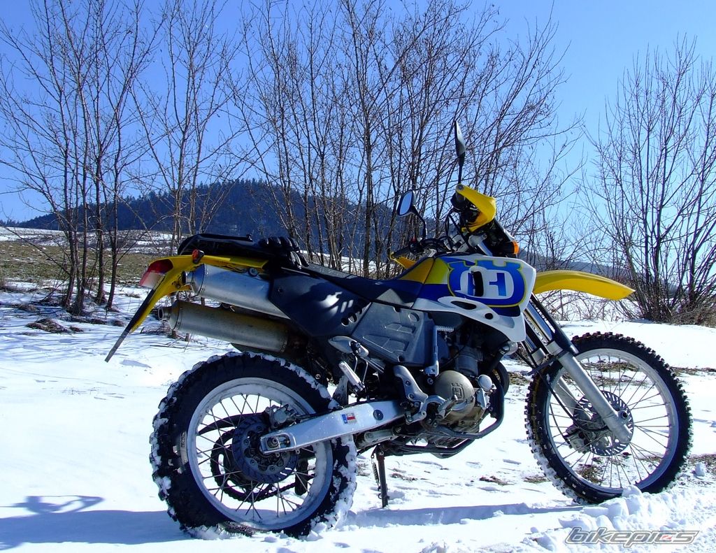 Photo 2529693