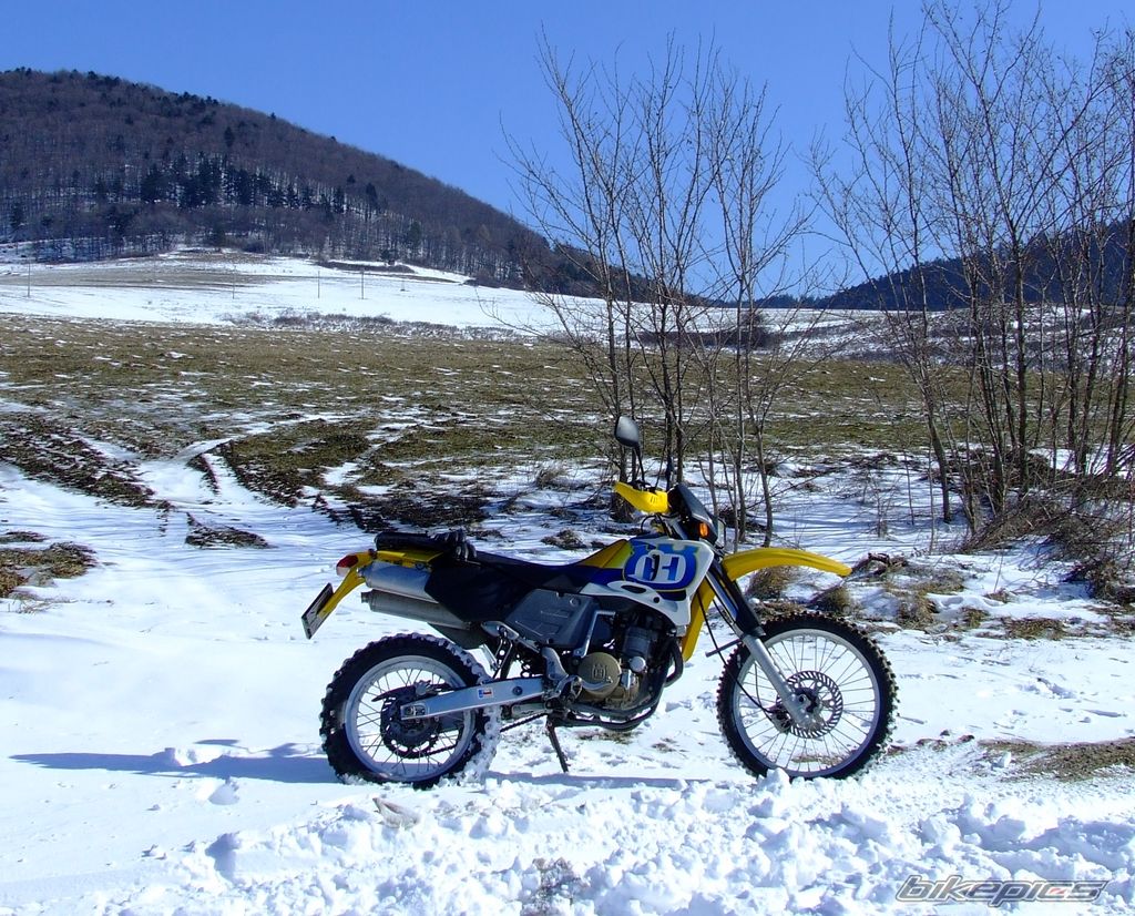 Photo 2529694